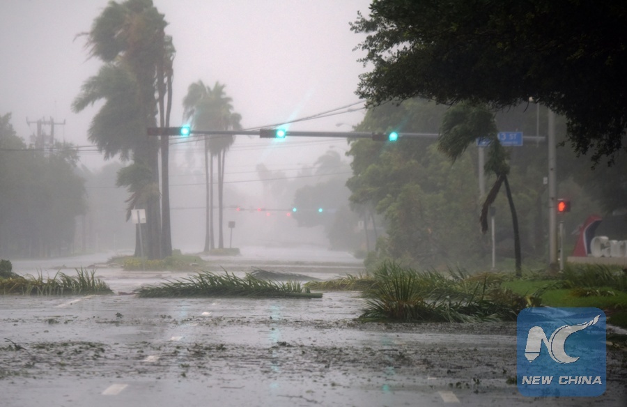 Dự báo mùa bão 2025 có thể có số lượng bão cao hơn mức trung bình, nhưng không dữ dội như mùa bão 2024. Ảnh: Xinhua