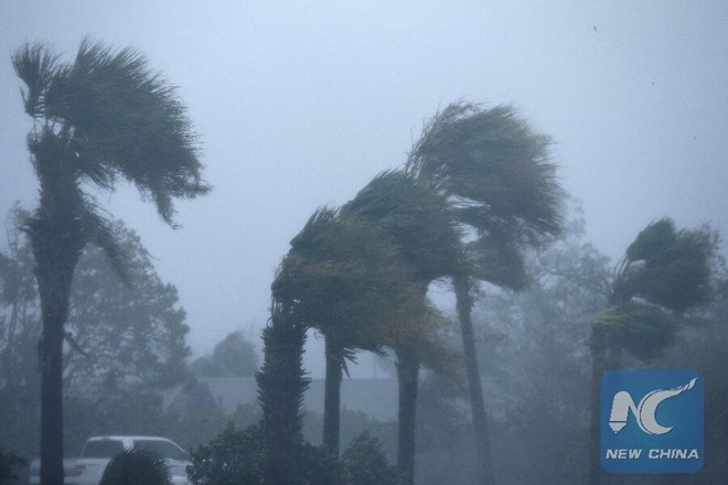 Nhiều tín hiệu sớm cho mùa bão 2025