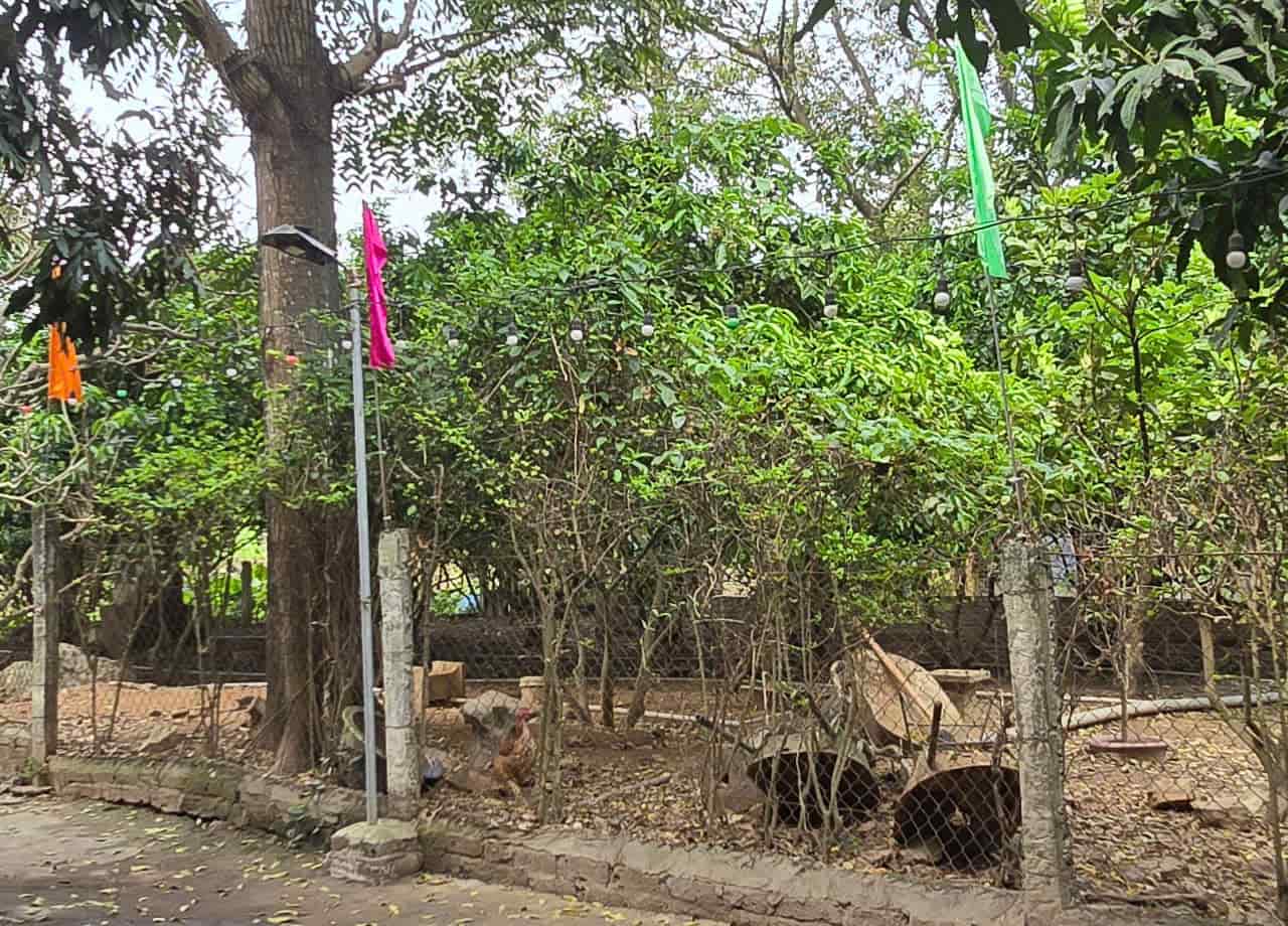 Một phần diện tích trong khuôn viên núi Cánh Diều bị người dân rào lại để chăn nuôi và trồng cây. Ảnh: Nguyễn Trường