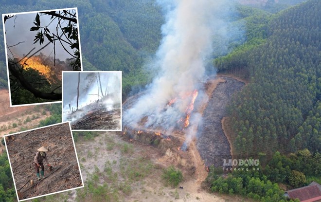 Hiểm họa cháy rừng từ thói quen đốt rẫy ở Bắc Kạn