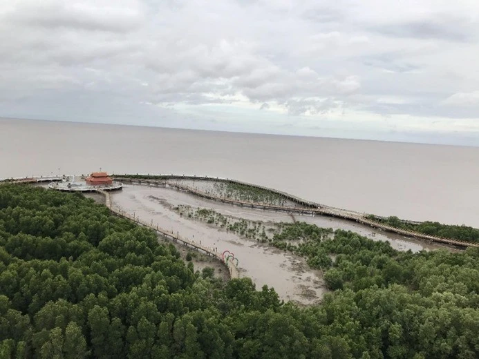 Quang cảnh rừng ngập mặn tại Vườn Quốc gia Mũi Cà Mau.