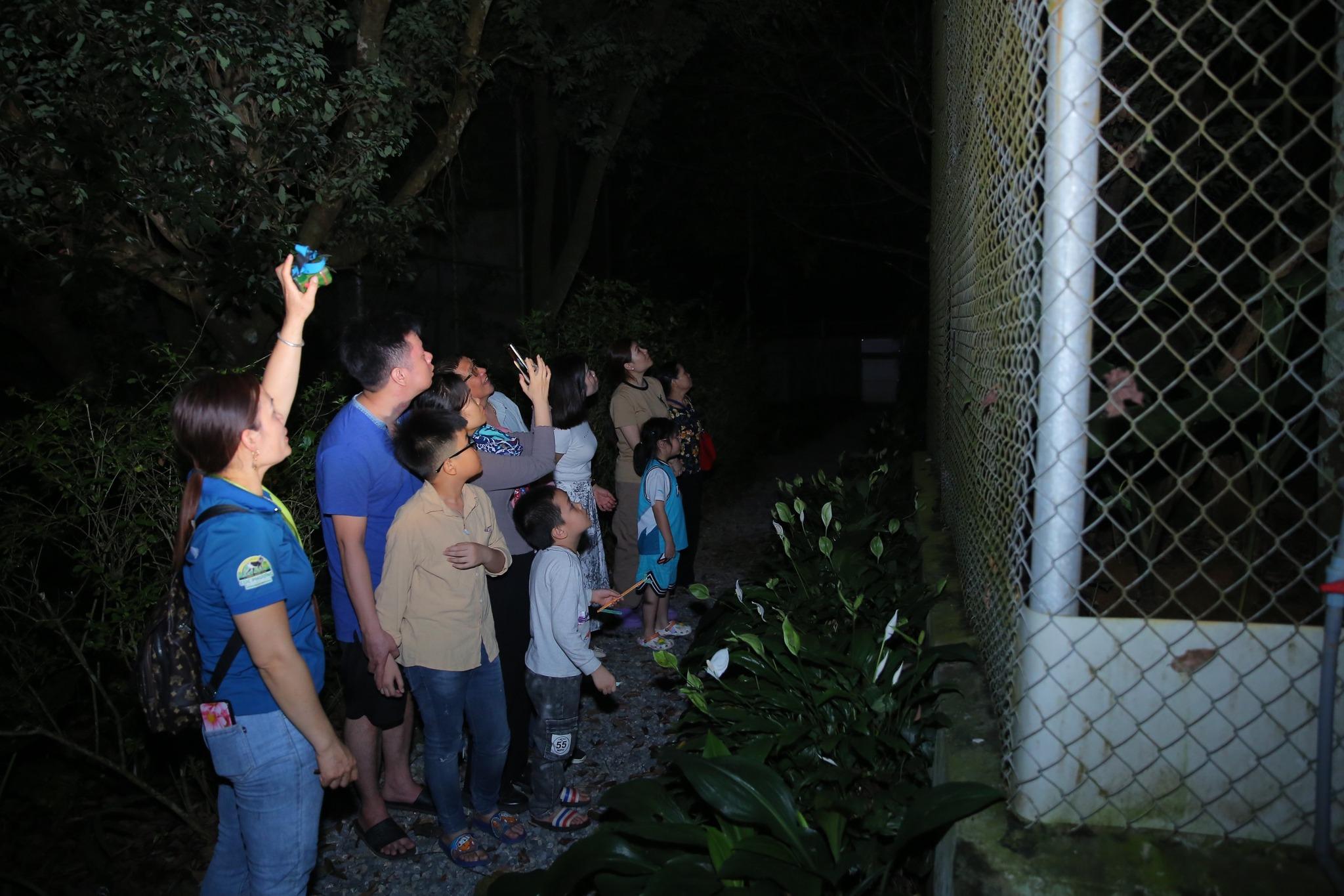 Độ dài tour là 5km, du khách đi xe điện tới các điểm tham quan kèm hướng dẫn viên. Ngoài đom đóm, tour đêm còn cho du khách cơ hội ngắm các loài như hươu, nai, tê tê, cầy mực, mèo rừng... tìm hiểu côn trùng và cuộc sống về đêm giữa đại ngàn. Ảnh: Vườn quốc gia Cúc Phương