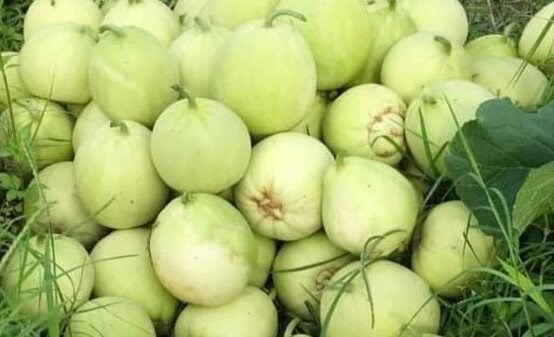 Bà nội trợ nên biết tác dụng hạ huyết áp an toàn của loại trái cây đang vào mùa