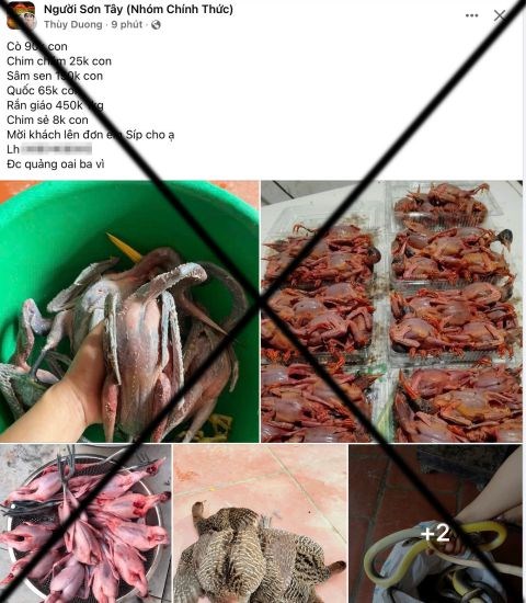 Mạng xã hội thành chợ đen buôn bán động vật hoang dã trái phép