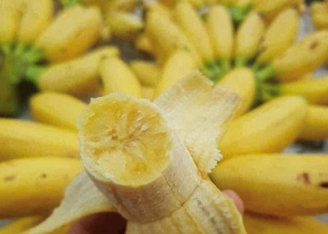 Loại trái cây quen thuộc, rẻ tiền nên ăn trong bữa sáng