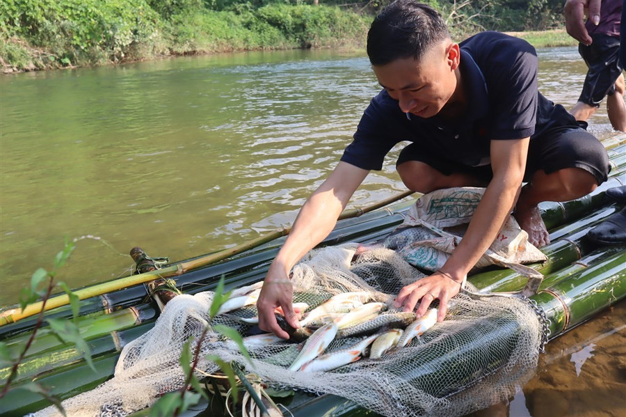 Người dân Nghệ An khai thác cá mát. (Ảnh: Bé Vinh) a6-917580.jpg