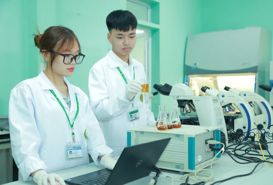 Sinh viên Học viện Nông nghiệp Việt Nam tham gia nghiên cứu khoa học.