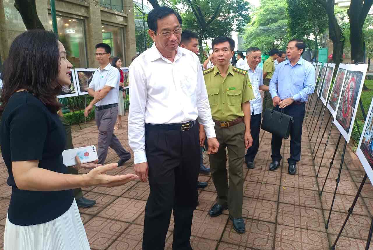 Nhiều hoạt động trong việc bảo tồn, bảo vệ và phát triển đàn voi rừng ở Đồng Nai. Ảnh: Chi cục kiểm lâm tỉnh Đồng Nai cung cấp