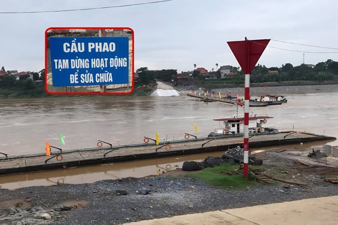 Tạm dừng cầu phao Phong Châu do nước sông Hồng dâng cao