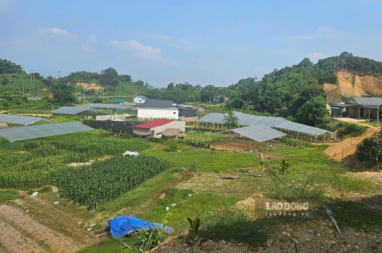 Vị trí dự kiến đặt ga An Thịnh tại xã An Thịnh, huyện Văn Yên, tỉnh Yên Bái. Ảnh: Văn Đức.