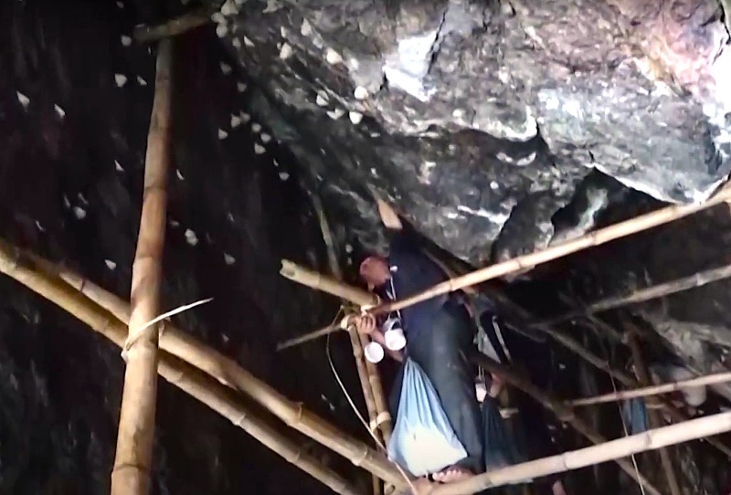 Khai thác tổ chim yến trên đảo Cù Lao Chàm, Hội An, Quảng Nam. Ảnh: Trường An