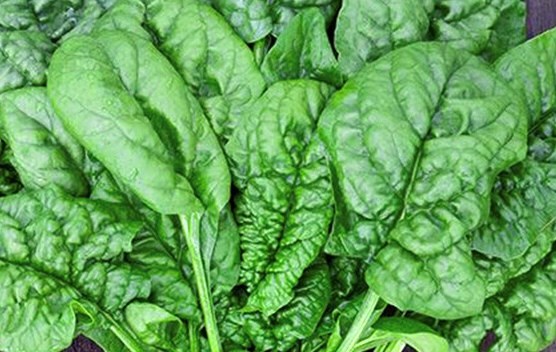 Lý do đường huyết tăng khi ăn rau lá xanh