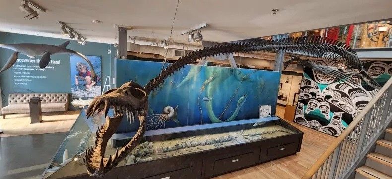 Bộ xương Traskasaura đang được trưng bày. xac-nhan-danh-tinh-quai-vat-bien-85-trieu-nam-sau-40-nam-bi-an-2.jpg