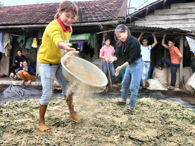 Giáo dục nghề nghiệp ở Krông Nô mở lối cơ hội việc làm cho người lao động