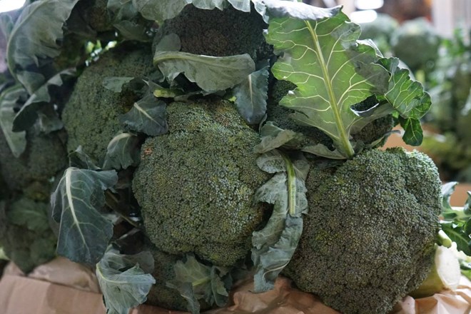 Món ăn sáng giàu protein và chất xơ giúp giảm viêm