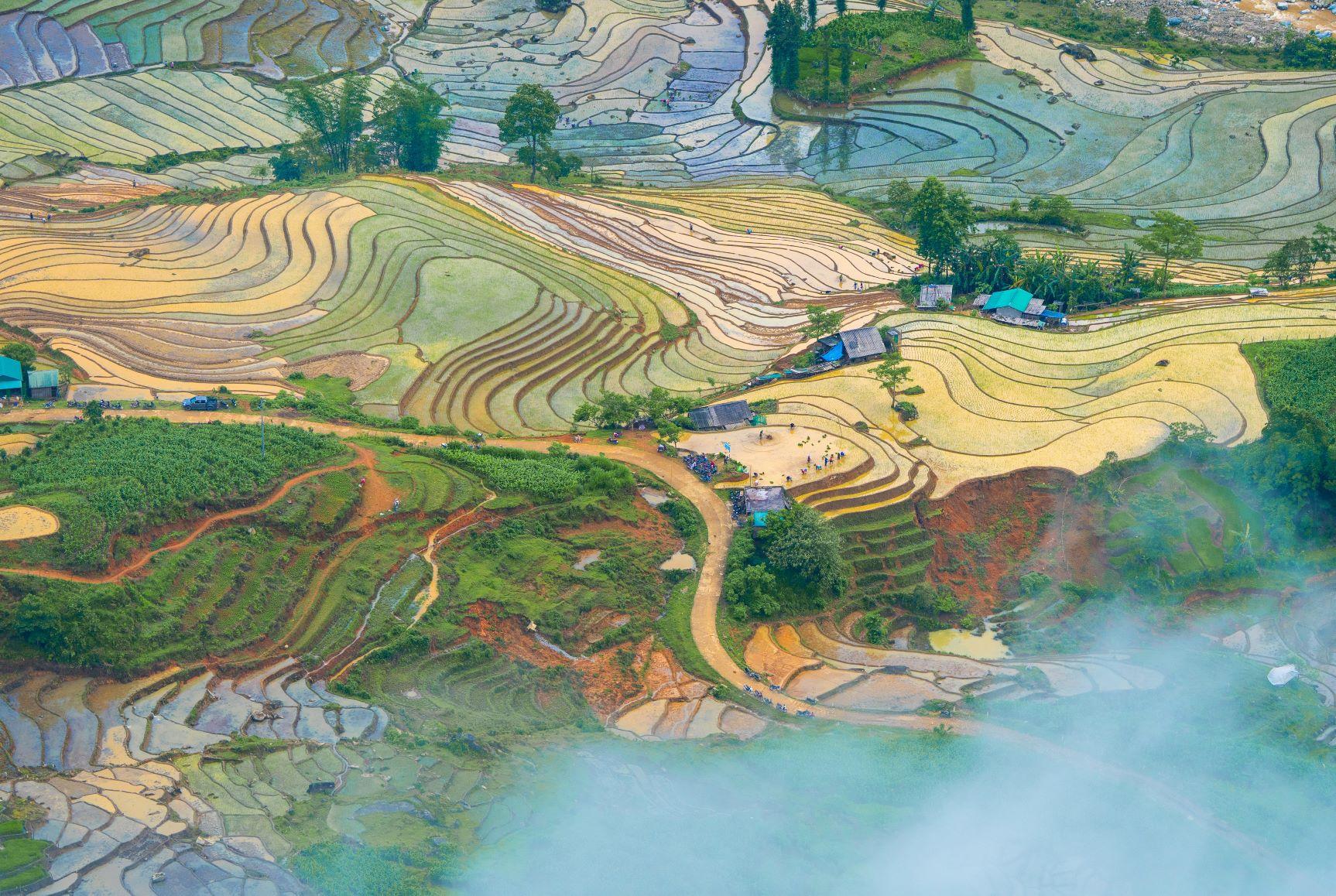 Ruộng bậc thang ở Y Tý có diện tích khoảng hơn 1000 ha, nằm chủ yếu ở độ cao hơn 2500m so với mực nước biển. Do thổ nhưỡng, khí hậu mà người dân chỉ có thể canh tác mỗi năm một vụ lúa. Tháng 4 có mưa thì mùa cày cấy cũng khởi đầu, tháng 5 đổ nước gieo cấy, tháng 8 lúa chín dần và tháng 9 sẽ thu hoạch.