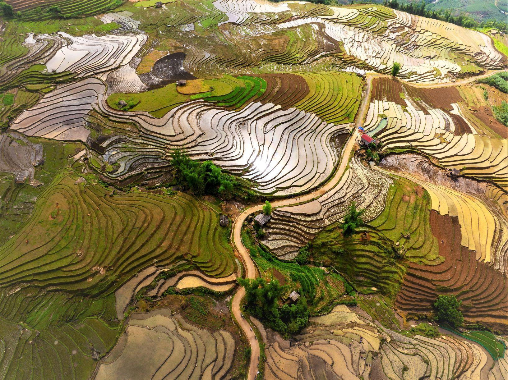 Y Tý là một xã vùng cao thuộc huyện Bát Xát, tỉnh Lào Cai. Du khách đi từ Hà Nội phải đón xe khách đi tới Lào Cai rồi bắt xe tiếp tới Y Tý hoặc thuê xe máy tại TP Lào Cai để tự di chuyển. Không chỉ có mùa vàng thơm mùi lúa chín mới thu hút du khách đến Y Tý, nơi này còn là thiên đường mây, khu vực bắt đầu của nhiều cung leo núi và cả mùa nước đổ đẹp kỳ diệu.