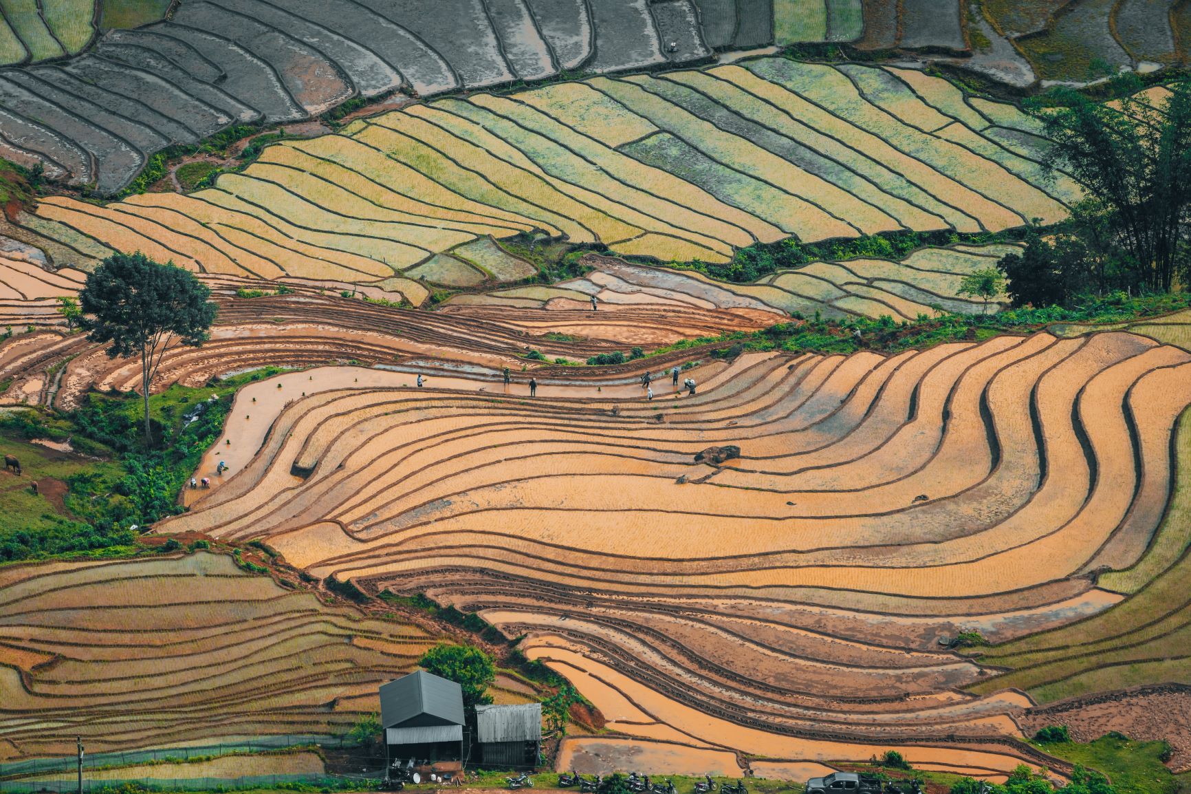 Mùa nước đổ Y Tý bắt đầu từ đầu tháng 5 tới hết tháng 6 hàng năm, và thời điểm đẹp nhất để ngắm những thửa ruộng đầy nước lấp loáng chính là nửa cuối tháng 5.