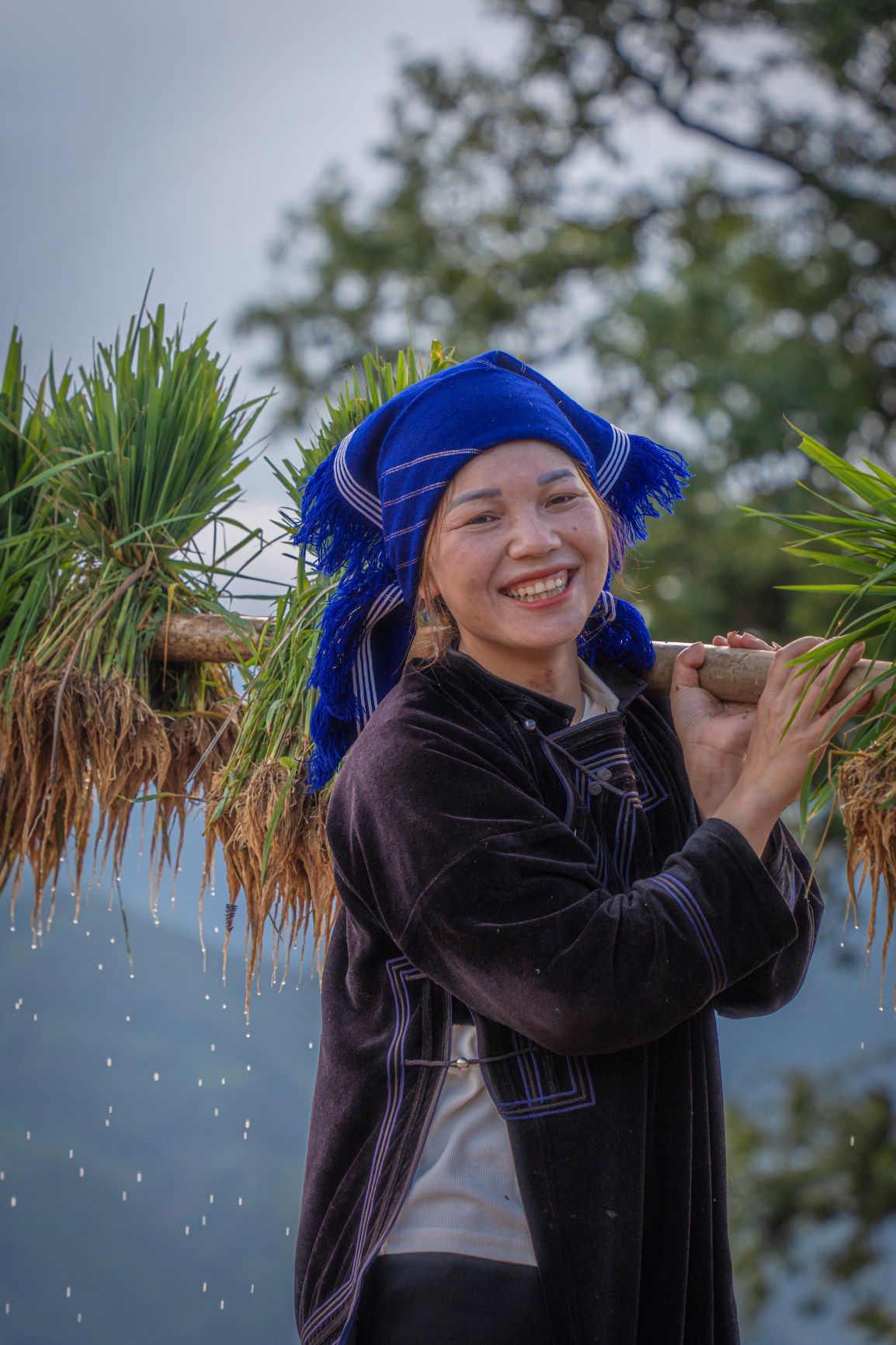 Nụ cười của người phụ nữ Hà Nhì đen vào mùa cấy lúa mới. Người Hà Nhì đen là một trong những dân tộc sống chủ yếu tại Y Tý, đi đâu ở Y Tý du khách cũng dễ bắt gặp nếp nhà trình tường màu đất nâu và những bộ áo xanh thẫm.