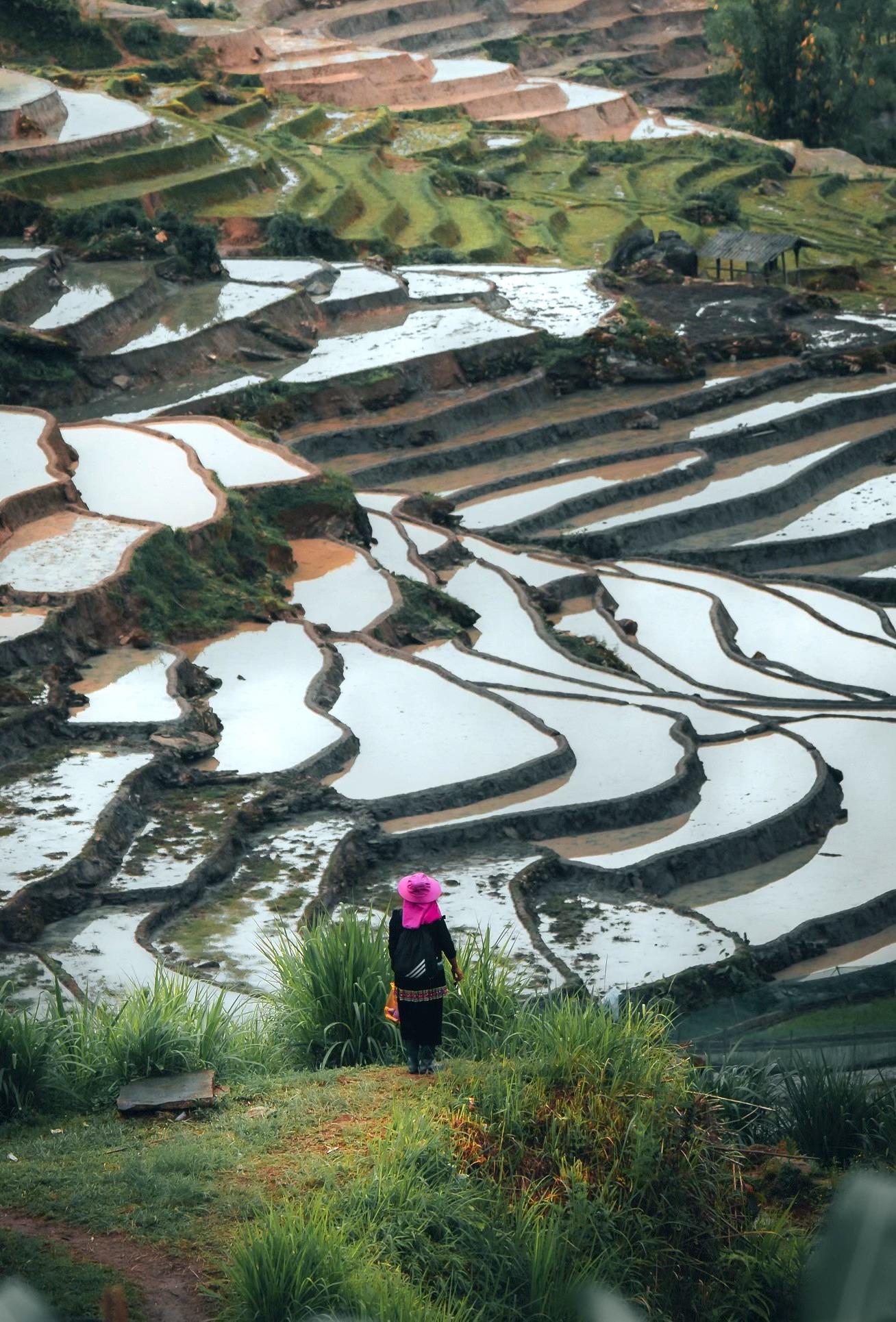 Du khách khắp nơi đến với Y Tý, đặc biệt là các nhiếp ảnh gia không chuyên và chuyên nghiệp đều mê mẩn sắc màu đất trời tháng 5 nơi này. Ruộng bậc thang được dẫn nước về đầy, lấp loáng nước như mặt gương soi.