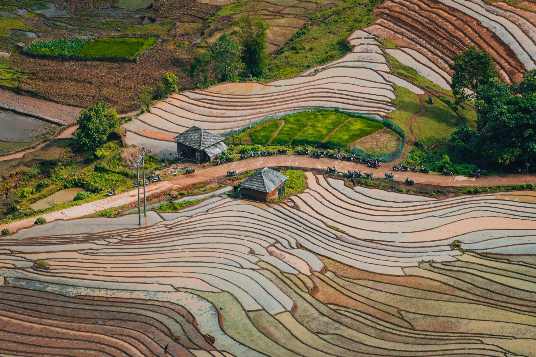 Những cung đường uốn lượn như cung chữ S đưa du khách đi giữa hai bên là ruộng bậc thang mùa nước đổ. Nhìn từ trên cao Y Tý mùa này như một bức tranh đồ họa với các gam màu của đất, nước và cây.