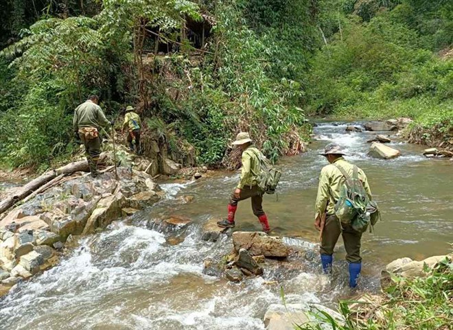 Đắk Nông lên phương án tháo gỡ khó khăn về tài chính cho các chủ rừng