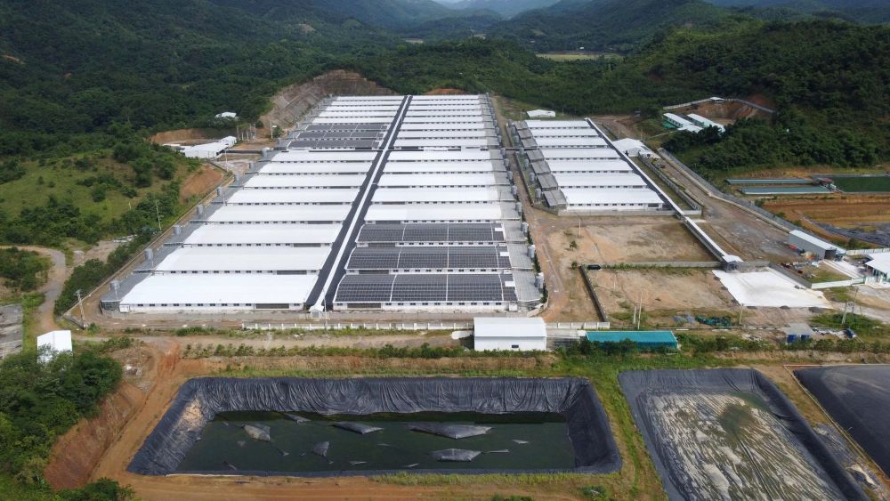 Người dân tiếp tục bức xúc vì trang trại lợn của Công ty CP đầu tư nông nghiệp Agri-Vina gây ô nhiễm mùi. Ảnh: Quách Du