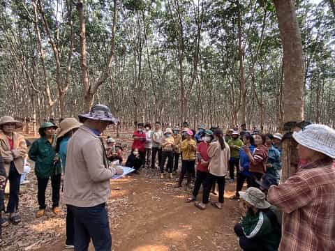 Người lao động tại công ty cao su được cải thiện đời sống, mức thu nhập. Ảnh: Thanh Tuấn
