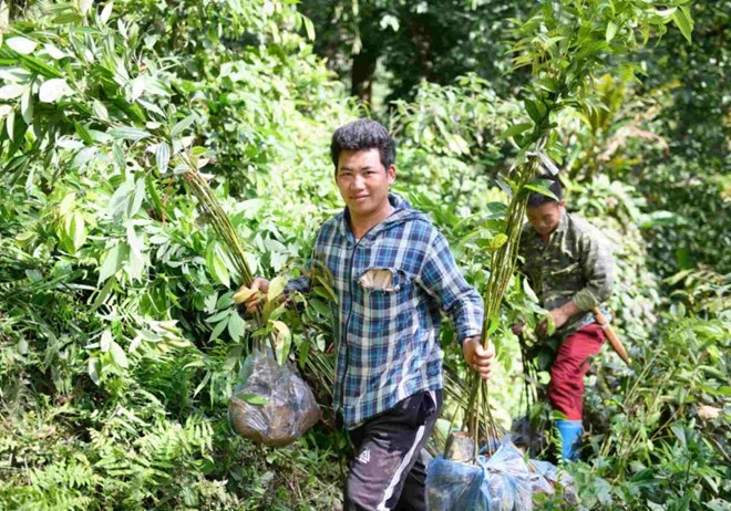 Xây dựng hệ thống làm mát xanh tại Việt Nam
