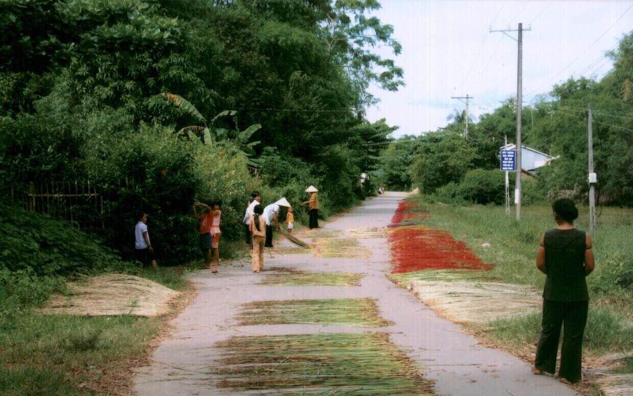 Quang cảnh làng nghề dệt chiếu Cà Hom, tại xã Hàm Tân, huyện Trà Cú, tỉnh Trà Vinh. Ảnh: Bảo tàng Trà Vinh