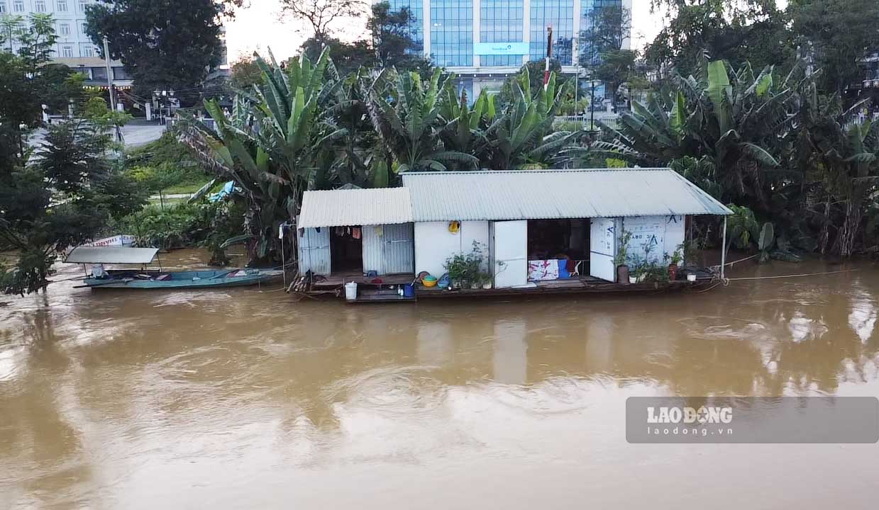 Rút kinh nghiệm từ tránh lũ lịch sử năm 2024, năm nay các nhà nổi ven sông đã chủ động giằng buộc an toàn. Ảnh: Việt Bắc.
