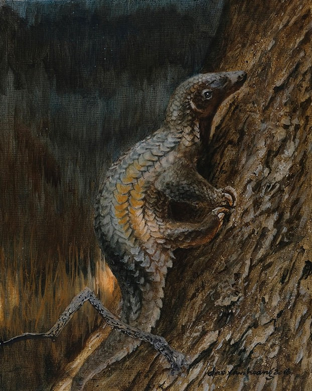 Tác phẩm của họa sĩ Đào Văn Hoàng. Ảnh: NVCC hoi-hoa-thuc-day-bao-ve-dong-vat-hoang-da-4.jpg