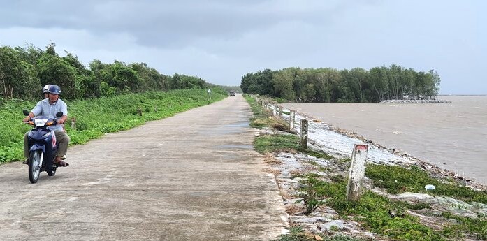 Đê biển Tây Cà Mau. Ảnh: Nhật Hồ