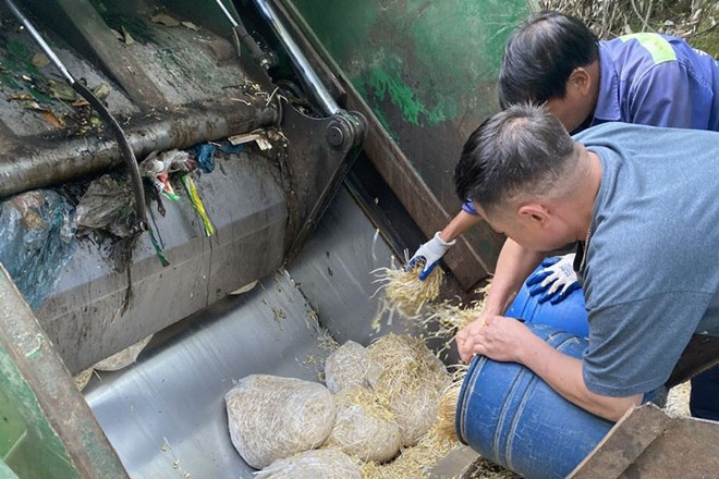 Lực lượng chức năng Lào Cai tiêu hủy số giá đỗ sản xuất bằng hóa chất độc hại. Ảnh: Thanh Tuấn
