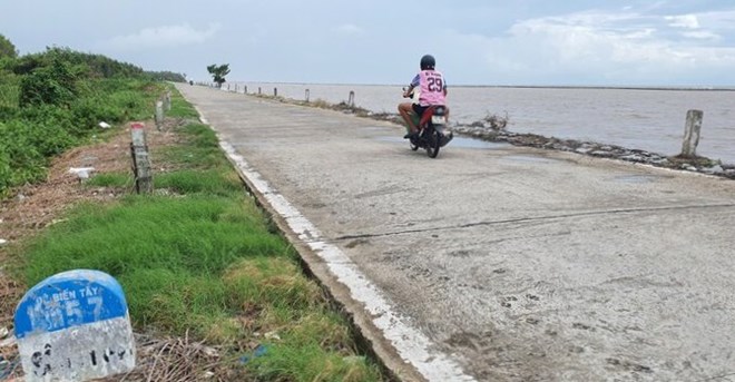 Đê biển Tây Cà Mau oằn mình trước mùa mưa bão