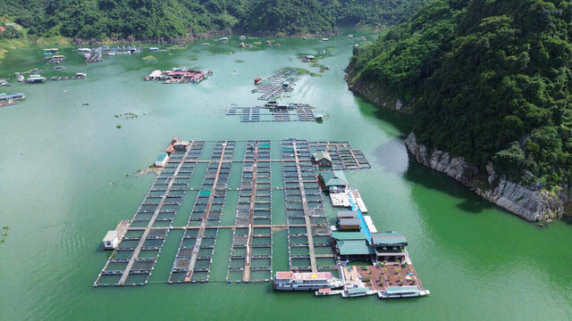 Nhịp sống yên bình trên lòng hồ sông Đà trong những ngày Thủy điện Hòa Bình mở cửa xả lũ. Ảnh: Đặng Tình