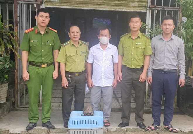 Bàn giao cá thể rùa núi vàng quý hiếm để thả về Vườn Quốc gia Vũ Quang