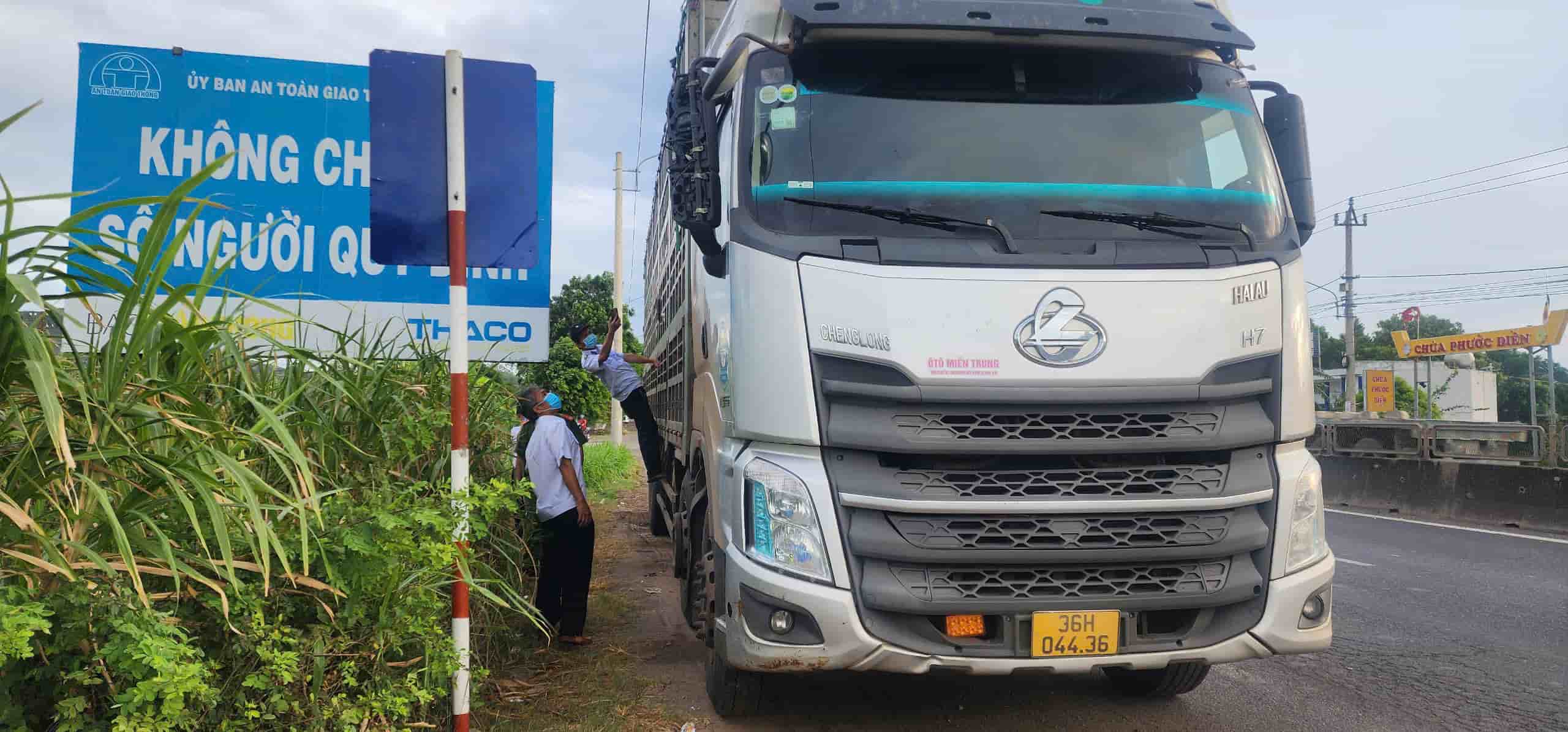 Cán bộ thú y lấy mẫu trên đàn lợn để mang đi xét nghiệm dịch tả lợn châu Phi. Ảnh: Thanh Tuấn