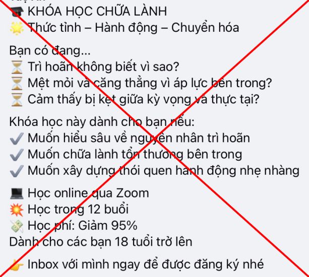 Những lời mời gọi khóa học chữa lành qua Zoom với giá ưu đãi.  Ảnh: Nhân vật cung cấp