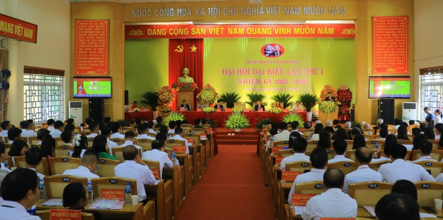 tam-duong.jpg