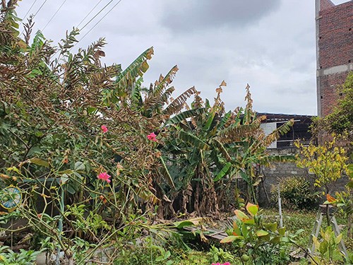 Hải Phòng chỉ đạo xử lý vụ rò rỉ hóa chất khiến người dân phải nhập viện