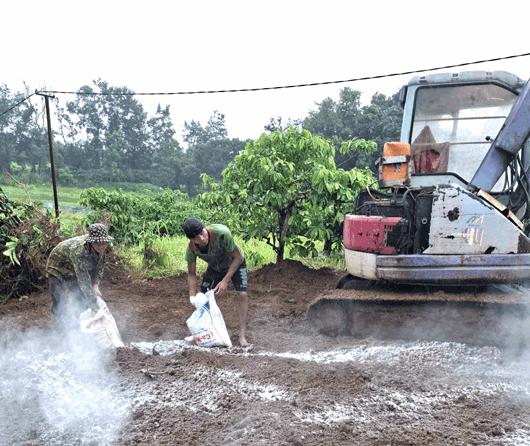 Các xã ở Gia Lai chuẩn bị hóa chất để dập dịch tả lợn châu Phi