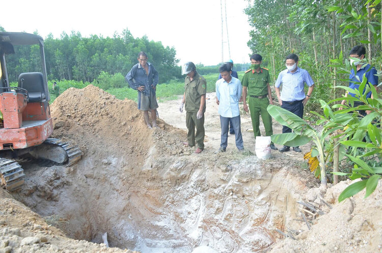 Lực lượng chức năng xã Ba Gia, tỉnh Quảng Ngãi đào hố tiêu hủy số lợn bị dịch tả lợn châu Phi. Ảnh: Thiên Bảo
