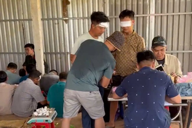 Triệt phá trường gà quy mô lớn ở Tây Ninh, tạm giữ 51 người