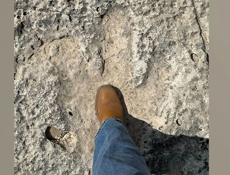 Dấu chân khủng long được phát hiện sau trận lũ lụt ở khu phố Big Sandy Creek.