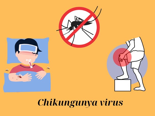 Điểm mấu chốt để phân biệt dấu hiệu mắc Chikungunya với sốt xuất huyết
