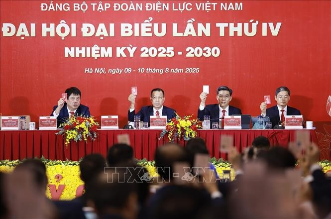 thu-tuong-phai-dap-ung-yeu-cau-dien-cho-phat-trien-dat-nuoc-5.jpg