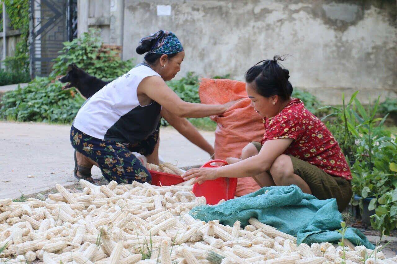 Người dân ở khu tái định cư xóm Nhụn, xã Yên Phú bận rộn với công việc hàng ngày. Ảnh: Đặng Tình