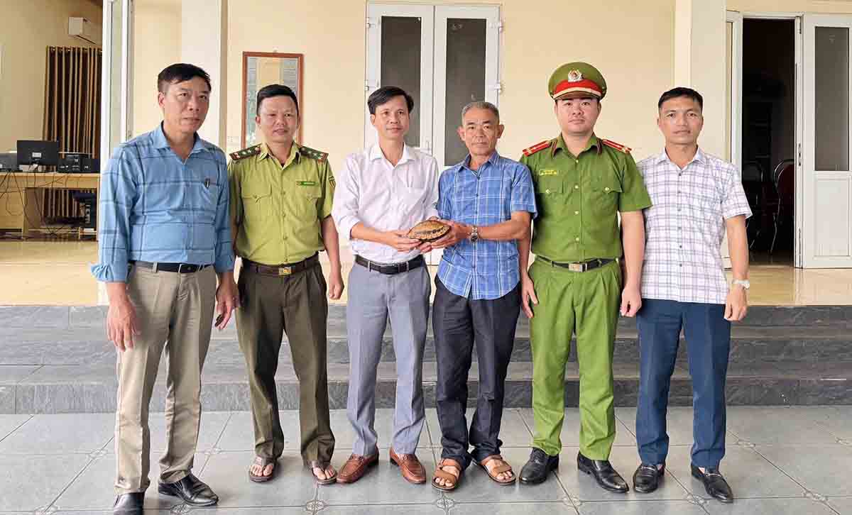 Giao nộp cá thể Rùa. Ảnh: Quang Tuấn.
