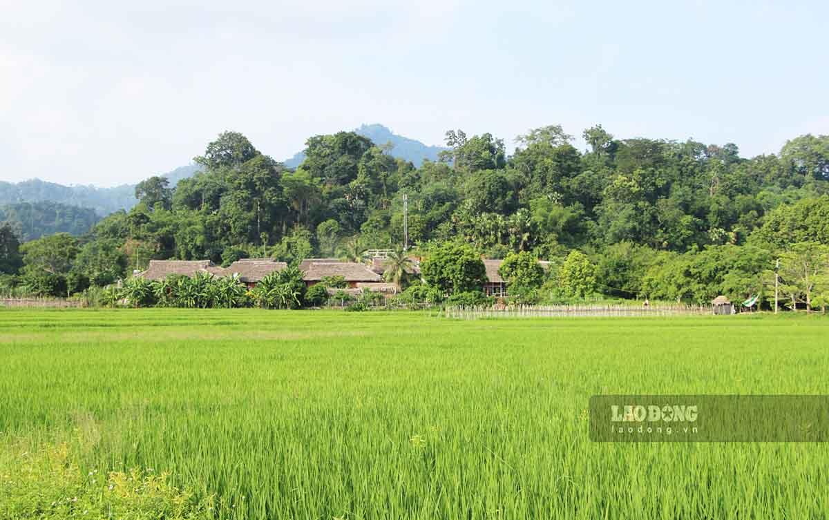 Tân Trào ngày nay vẫn được những cánh rừng già bao bọc. Ảnh: Nguyễn Tùng.